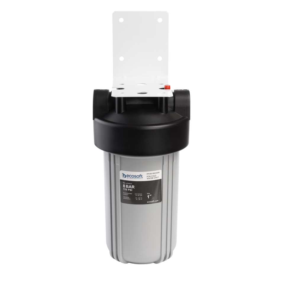 Big Blue 4.5"x10" in-line water filter